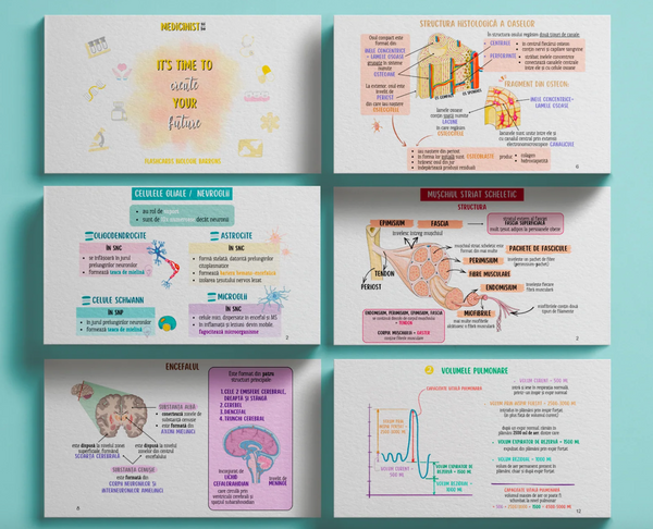 FLASHCARDS BARRONS – UMF TIMIȘOARA