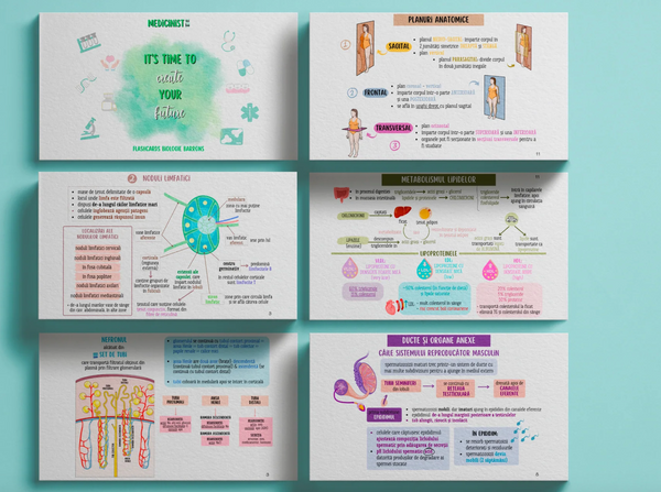 FLASHCARDS BARRONS – UMF CLUJ