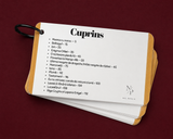 Flashcards cu eseurile de BAC sintetizate 2027