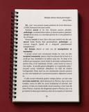Memorator de limba română. Eseuri pentru bacalaureat - 2027