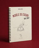 Modele de eseuri - 2027