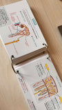 FLASHCARDS CORINT