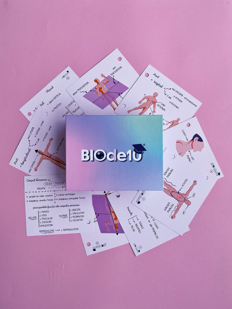 Flashcards Biologie - kit STARTER – No Panic